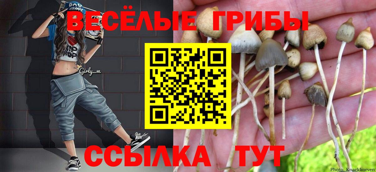 Псилоцибиновые грибы GOLDEN TEACHER Белебей